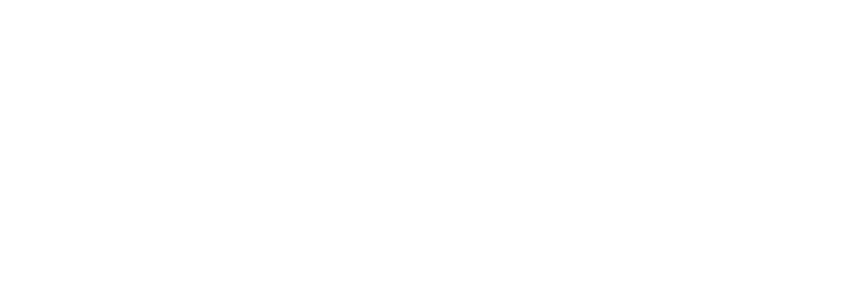 iCONEX_LOGO