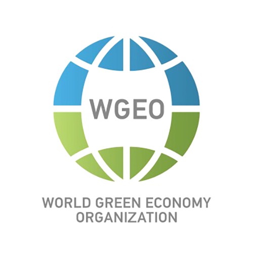 STRATEGIC GOVERNMENT PARTNER