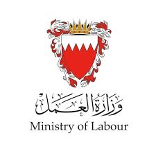 STRATEGIC GOVERNMENT PARTNER